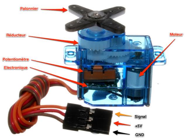 Internal schematic of servomotor